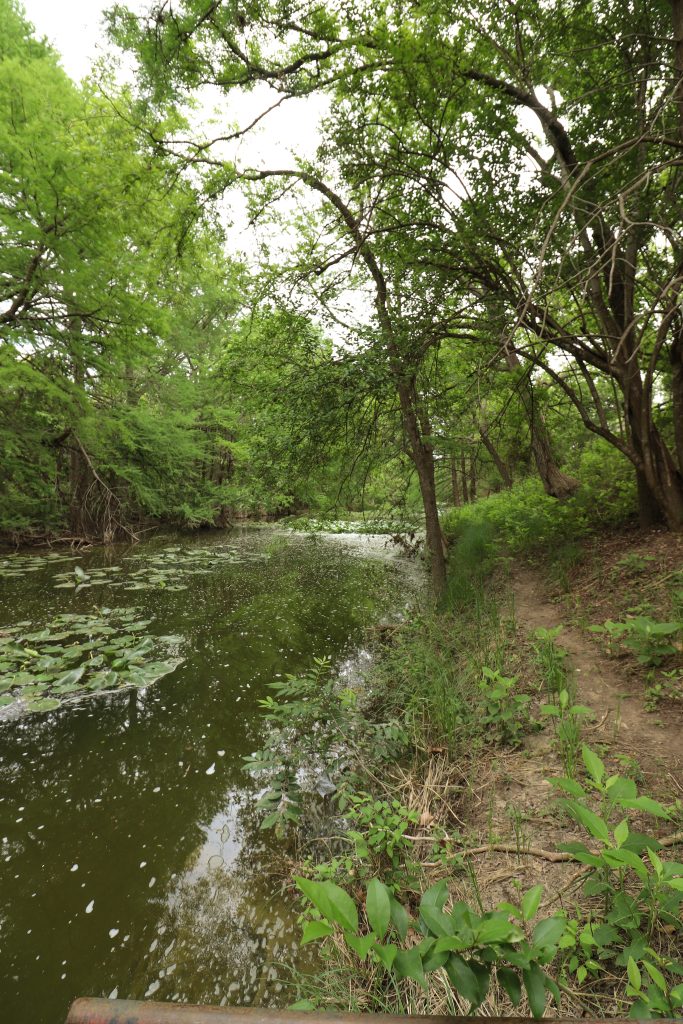 River front at Saddlewood Estates